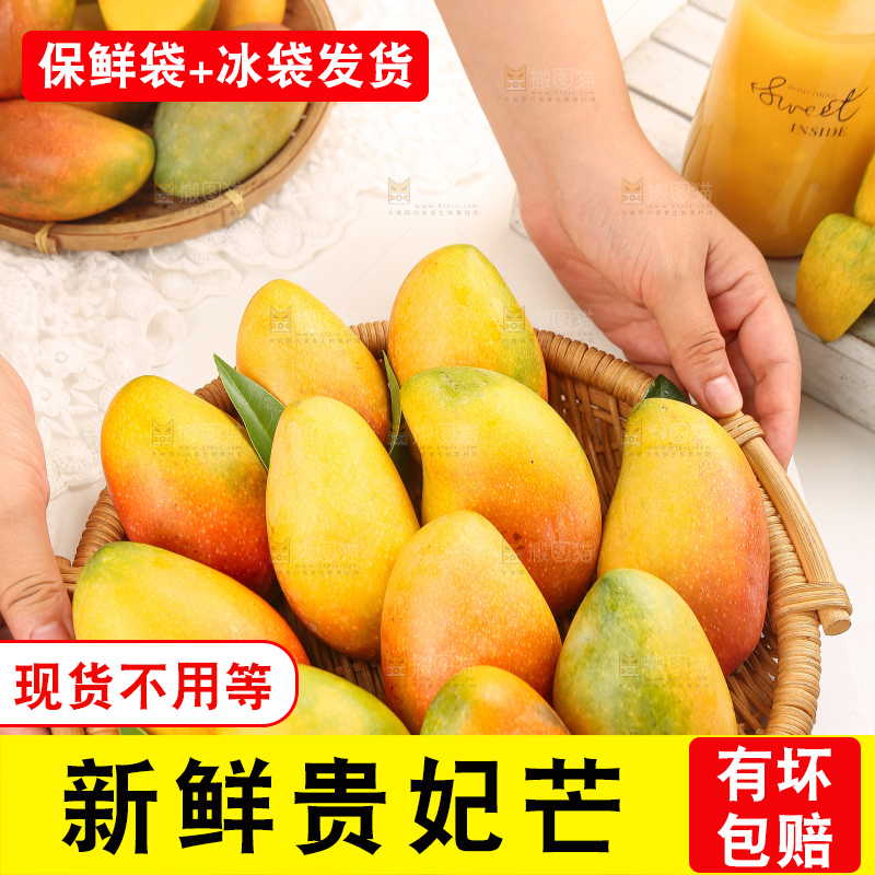 浅底上的贵妃芒