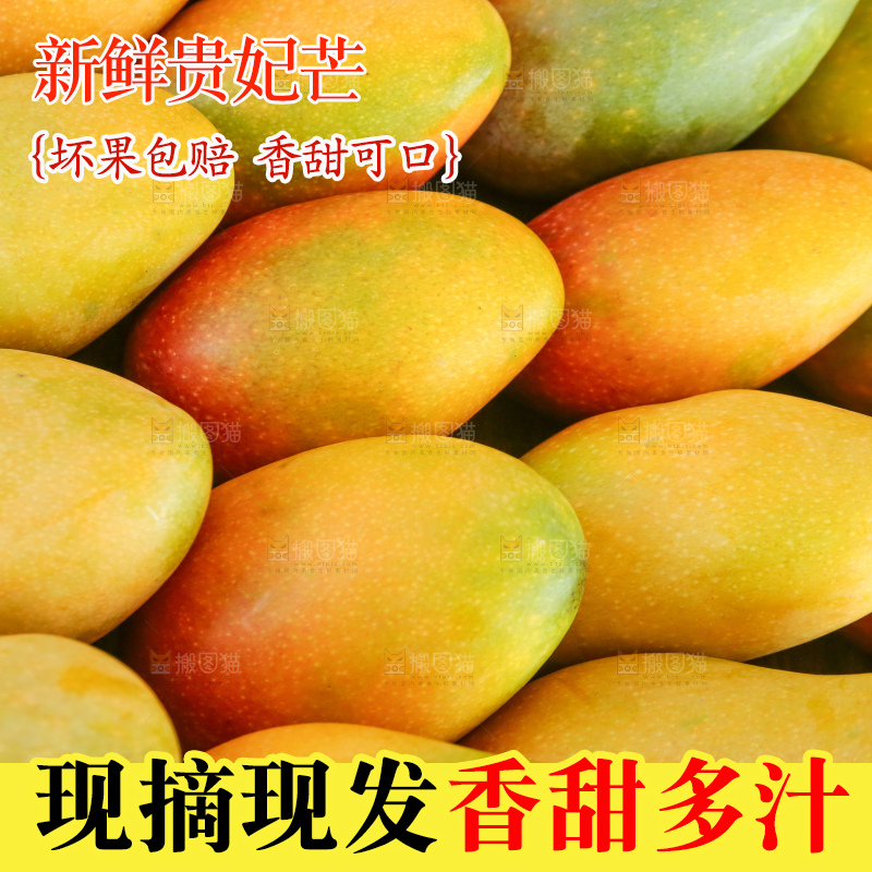 深底上的贵妃芒
