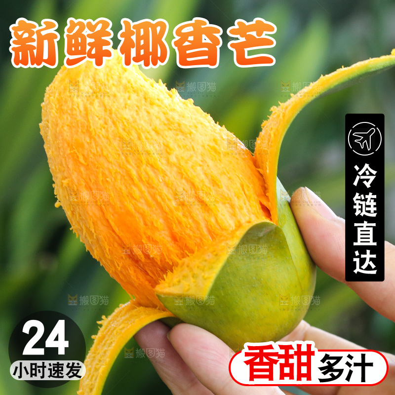手里拿着椰香芒