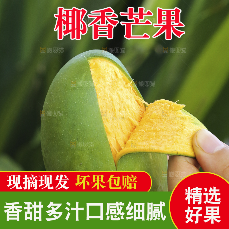 手里拿着椰香芒