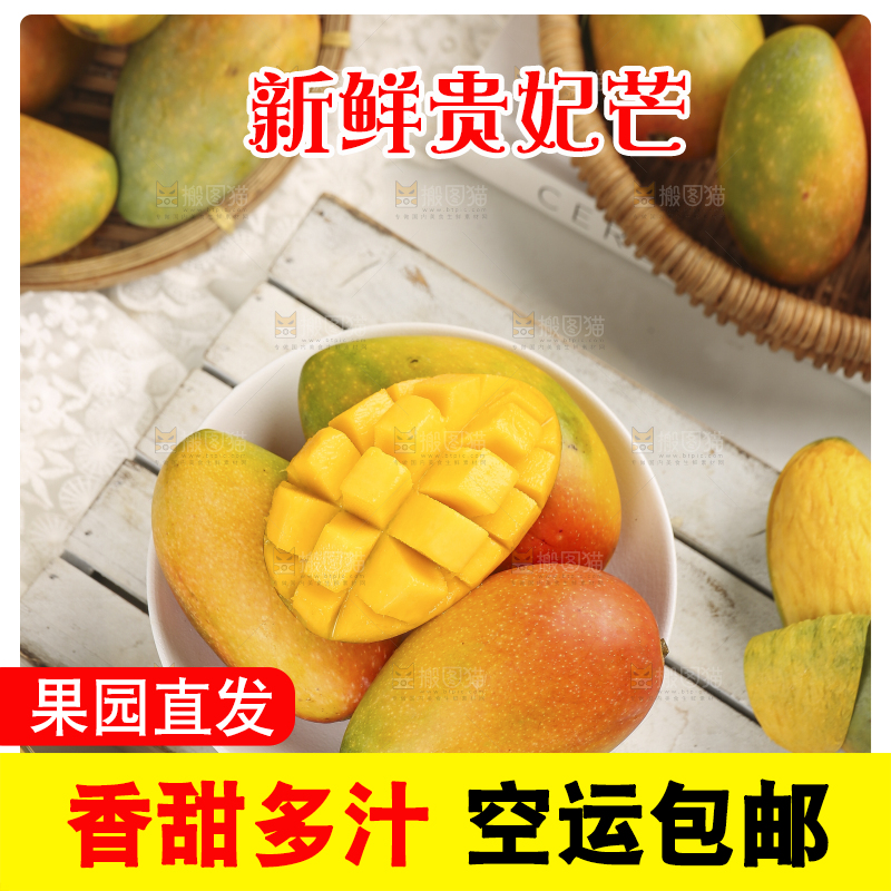 浅底上的贵妃芒