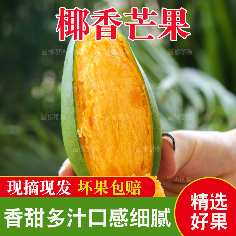 深底上的椰香芒