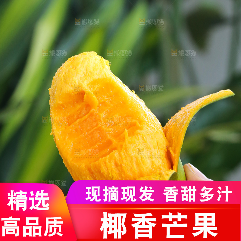 手里拿着椰香芒