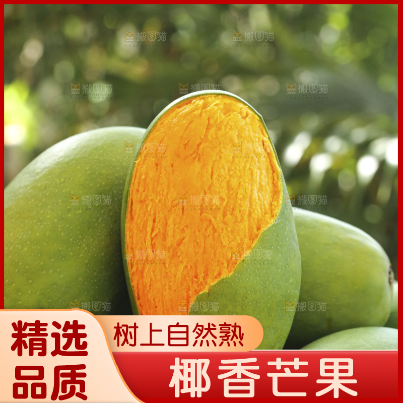 深底上的椰香芒
