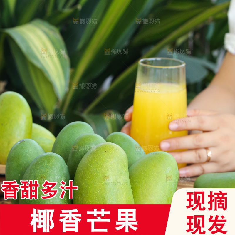 深底上的椰香芒