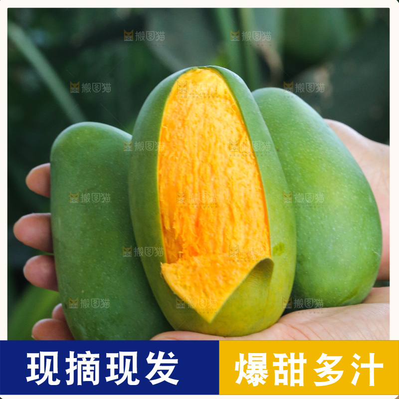 手里拿着椰香芒