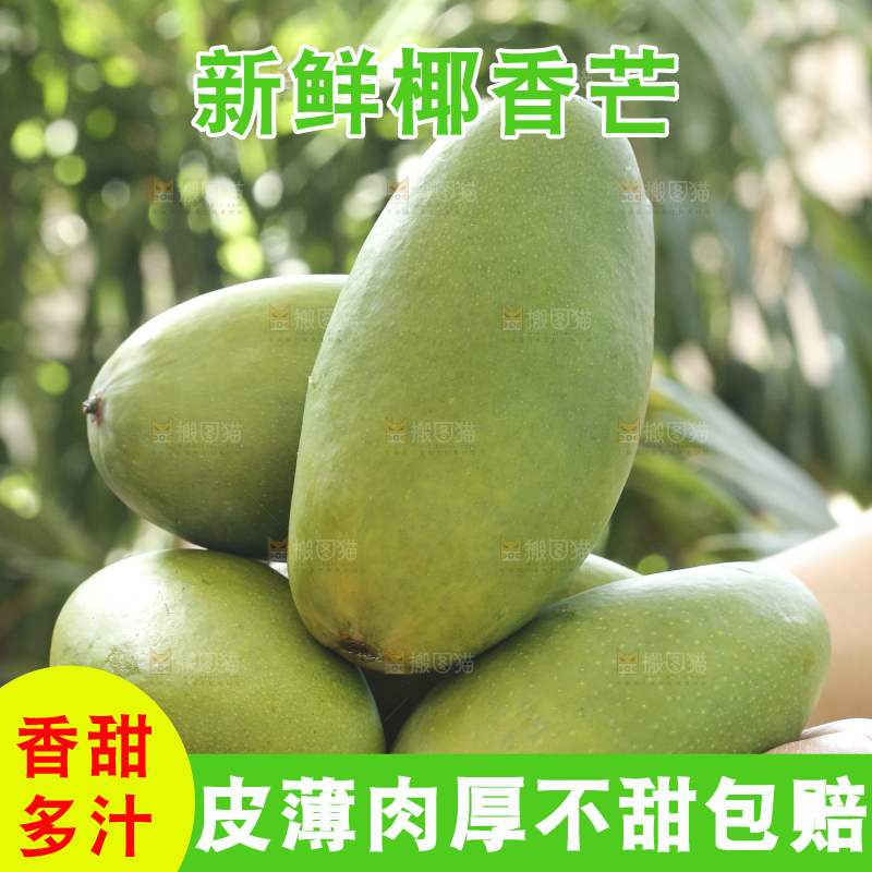手里拿着椰香芒