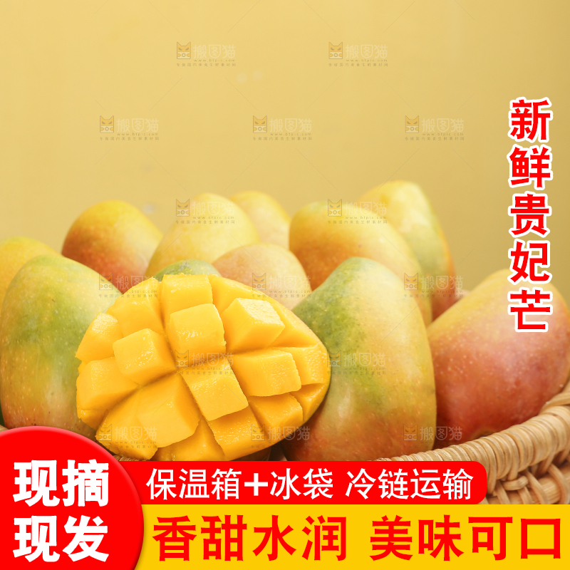 浅底上的贵妃芒