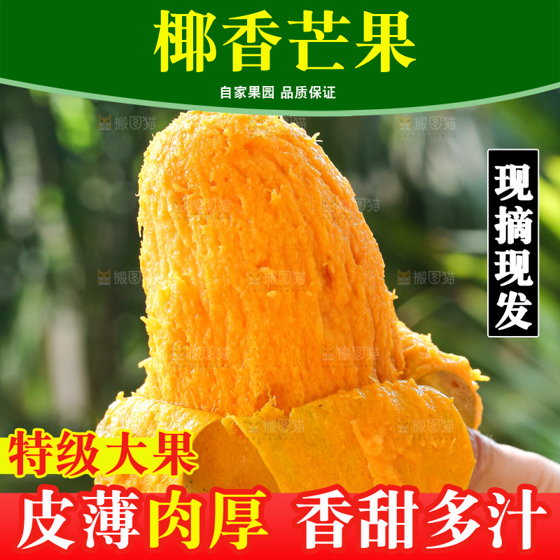 手里拿着椰香芒