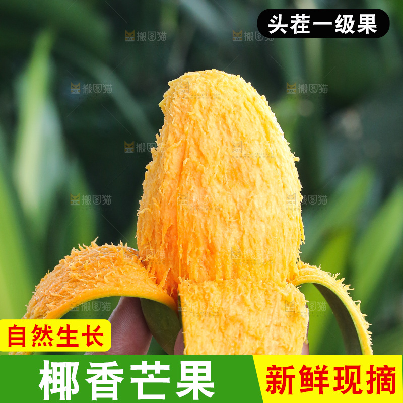 手里拿着椰香芒