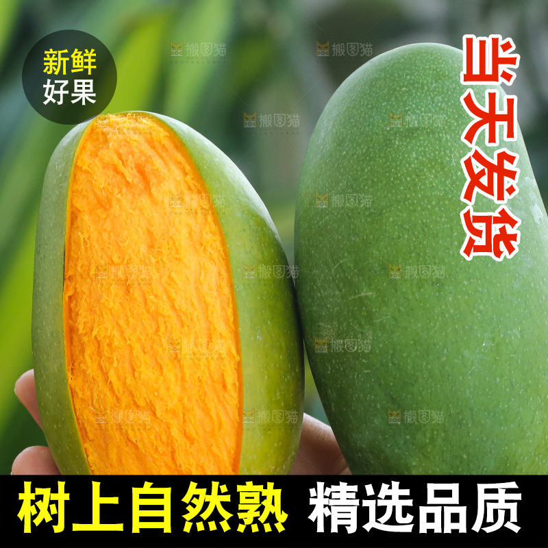 深底上的椰香芒