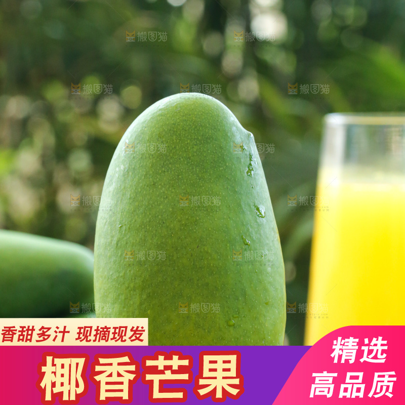 深底上的椰香芒
