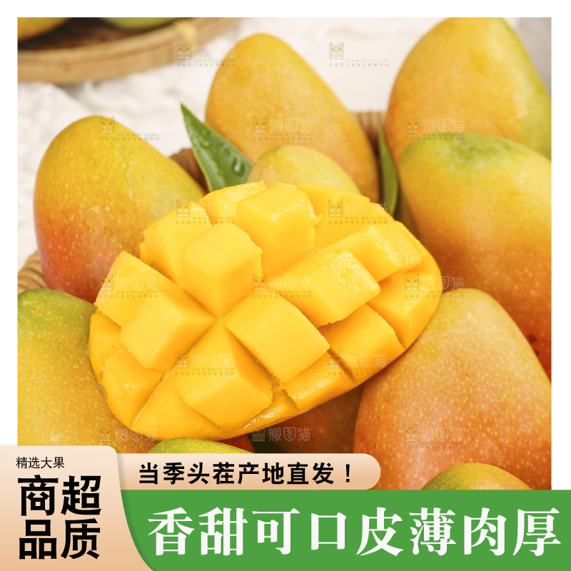 浅底上的贵妃芒
