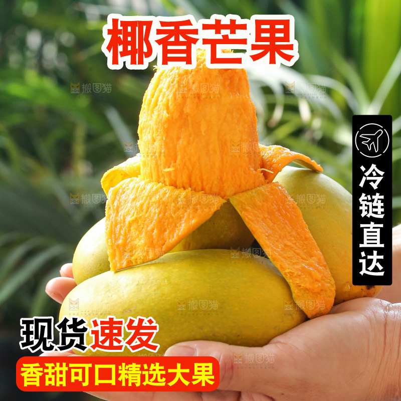 手里拿着椰香芒