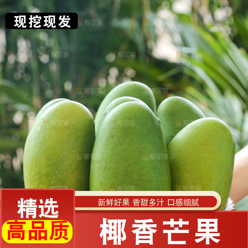 深底上的椰香芒