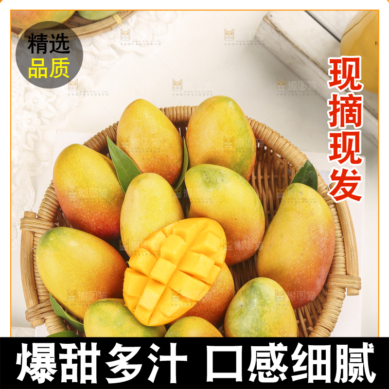 浅底上的贵妃芒
