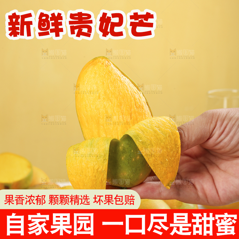 浅底上的贵妃芒