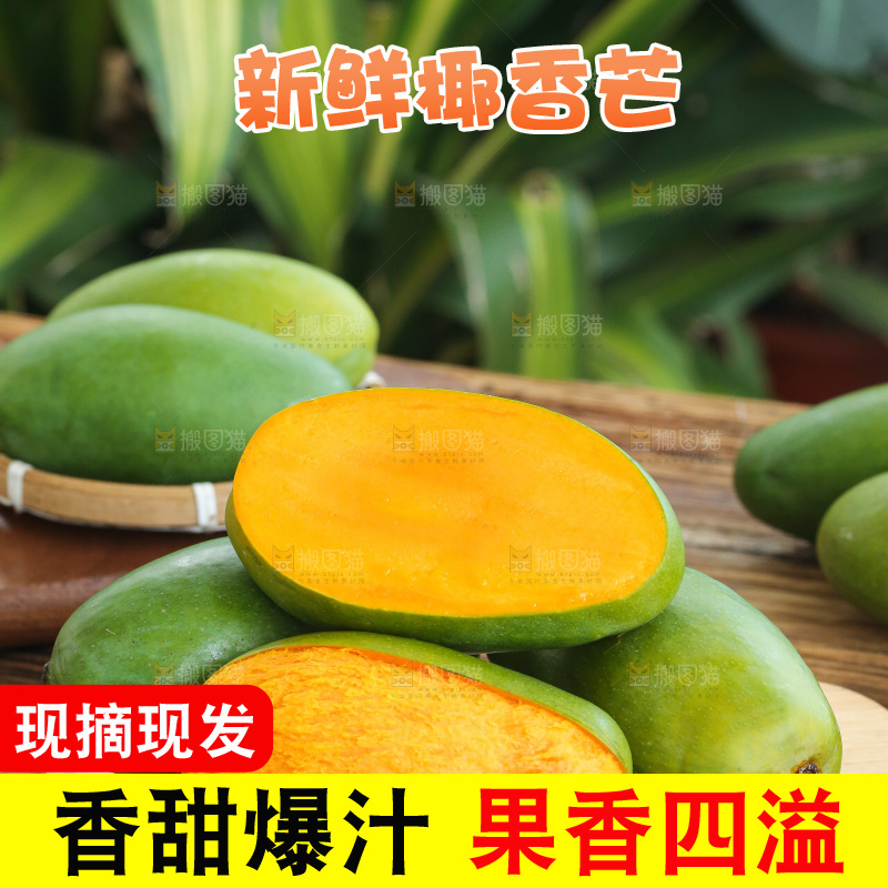 深底上的椰香芒