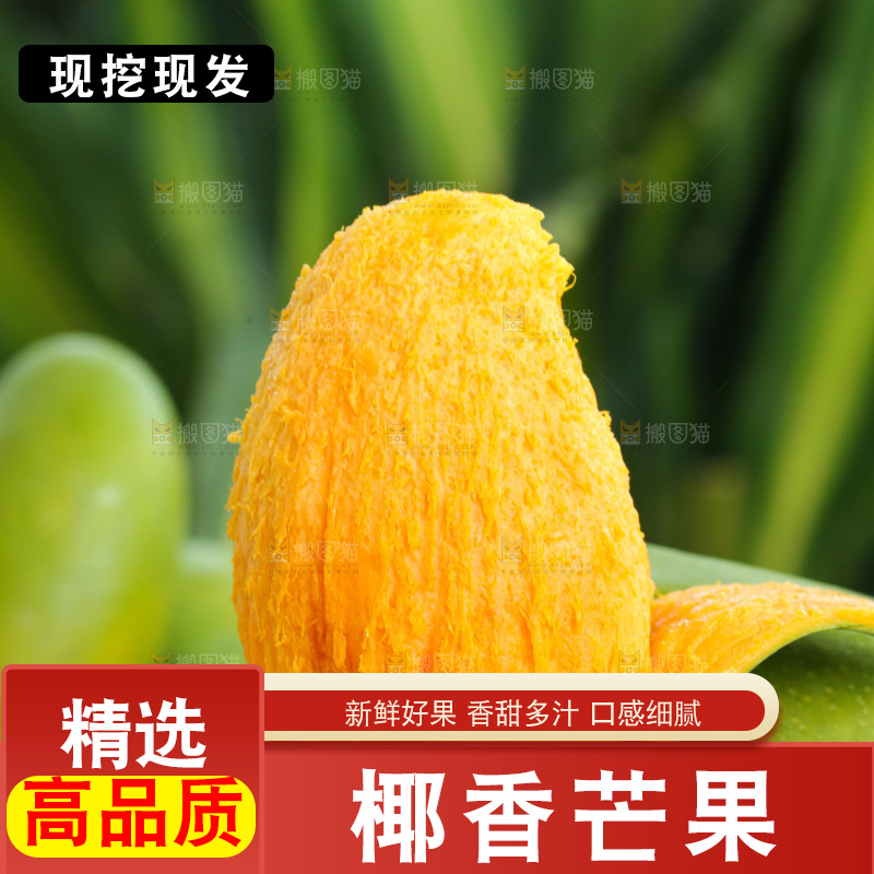 深底上的椰香芒
