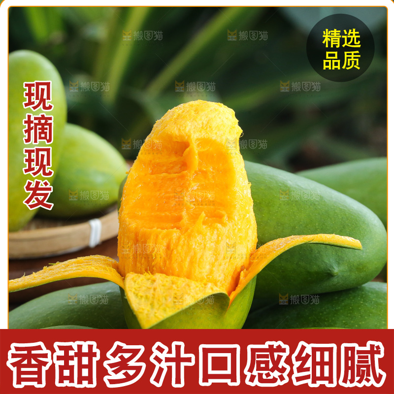 深底上的椰香芒