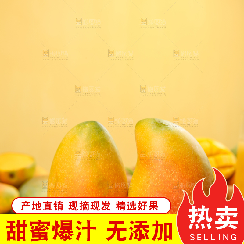 浅底上的贵妃芒