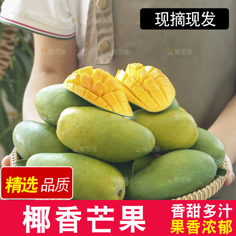 深底上的椰香芒