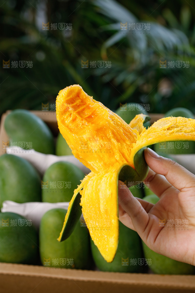 手里拿着椰香芒