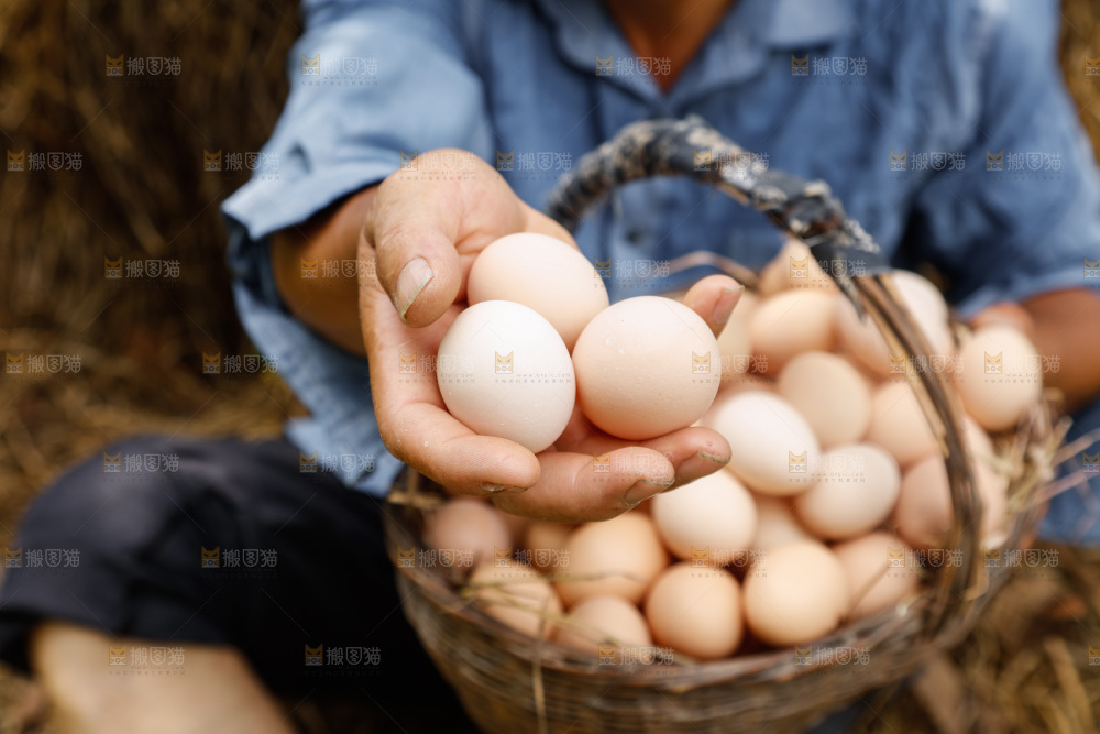 手里拿着土鸡蛋