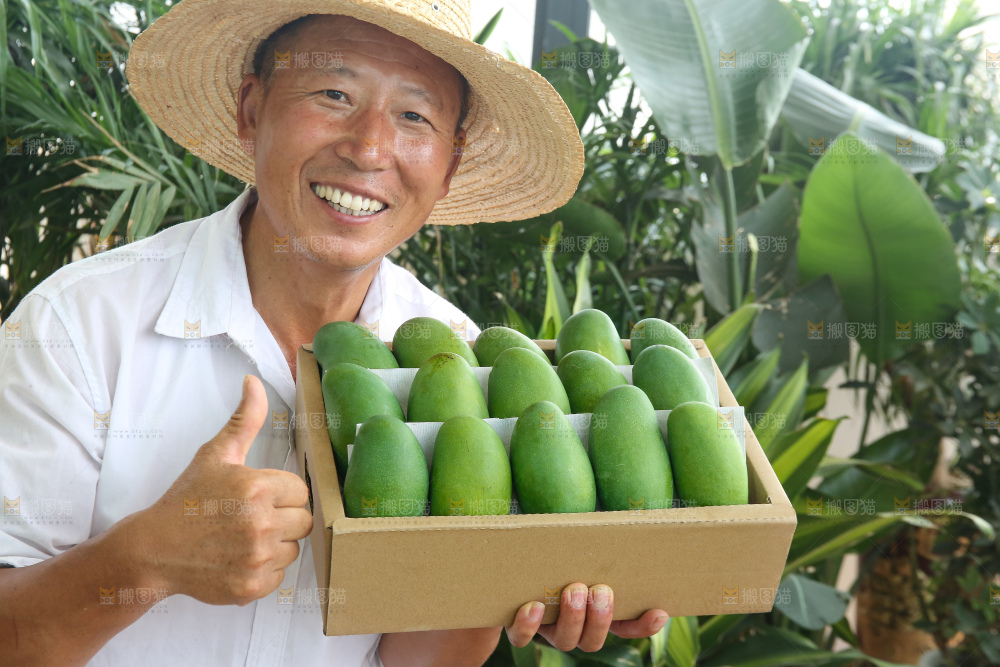 手里拿着椰香芒