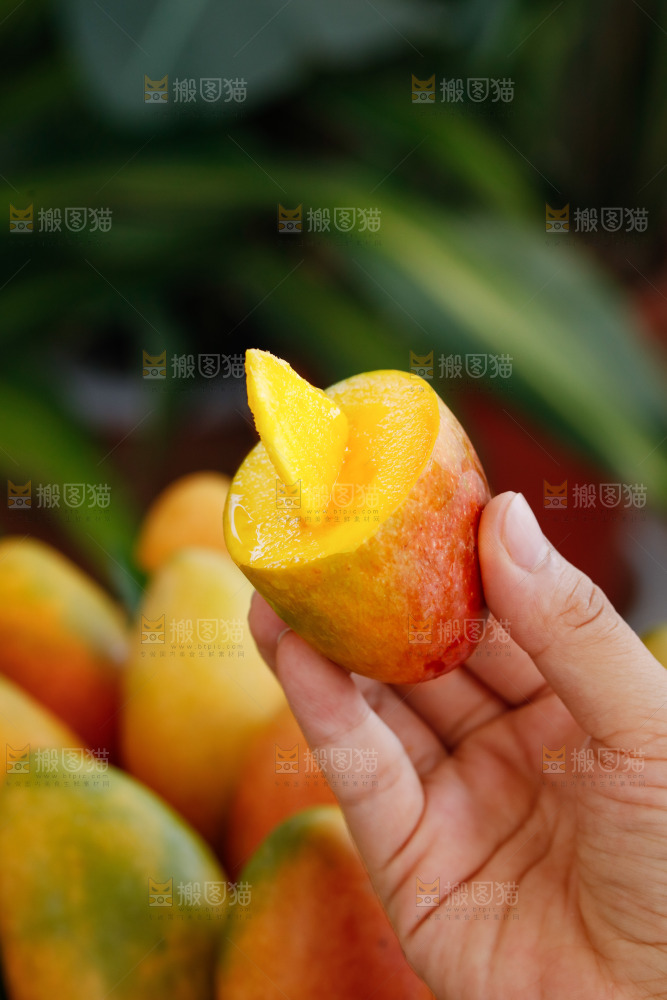 手里拿着贵妃芒