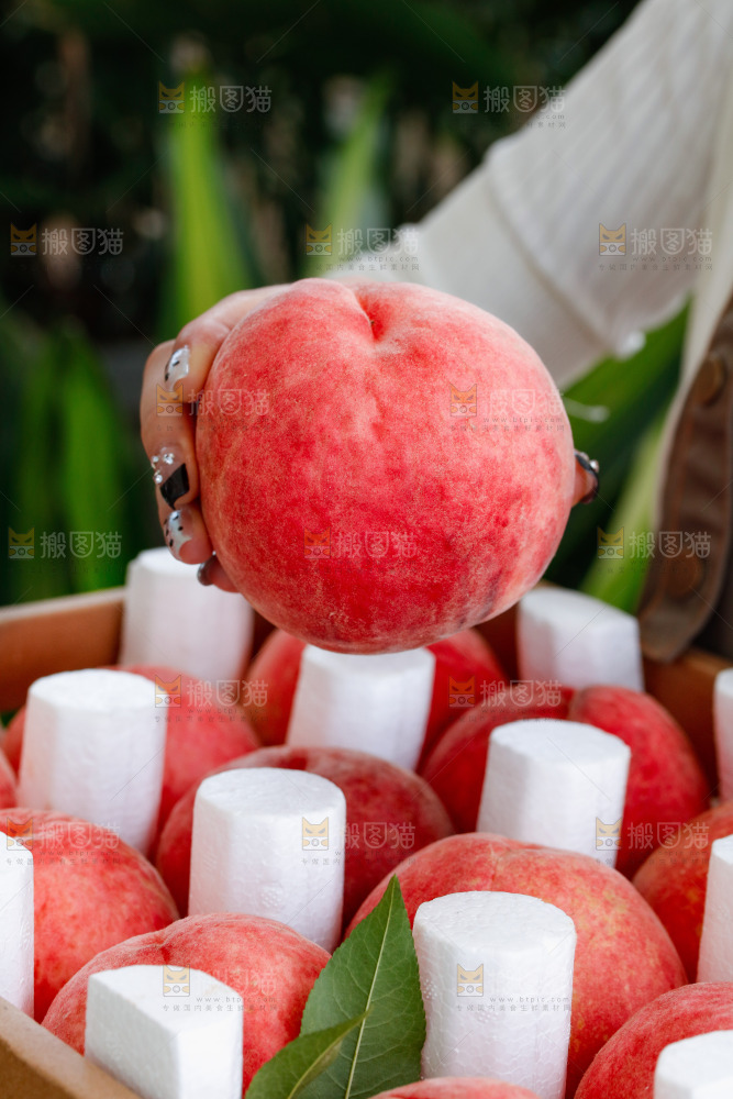 手里拿着苹果桃