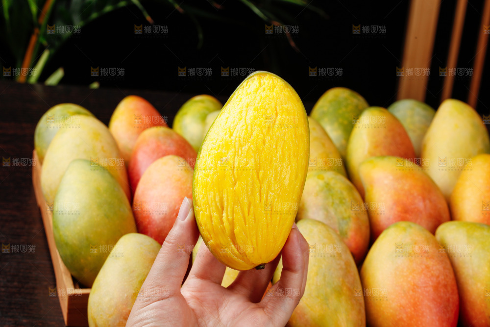深底上的贵妃芒