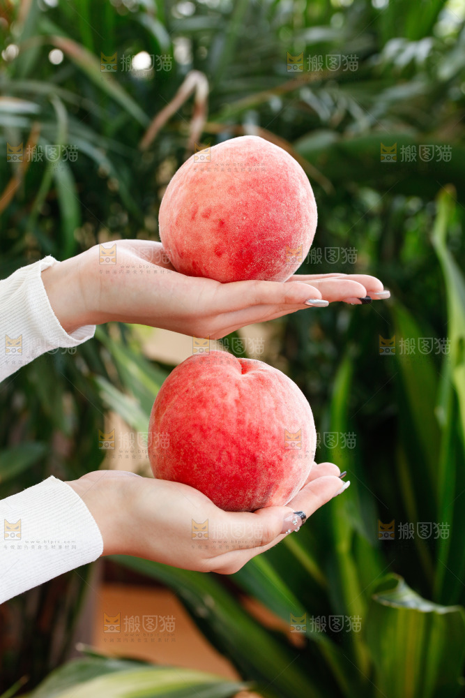 手里拿着苹果桃