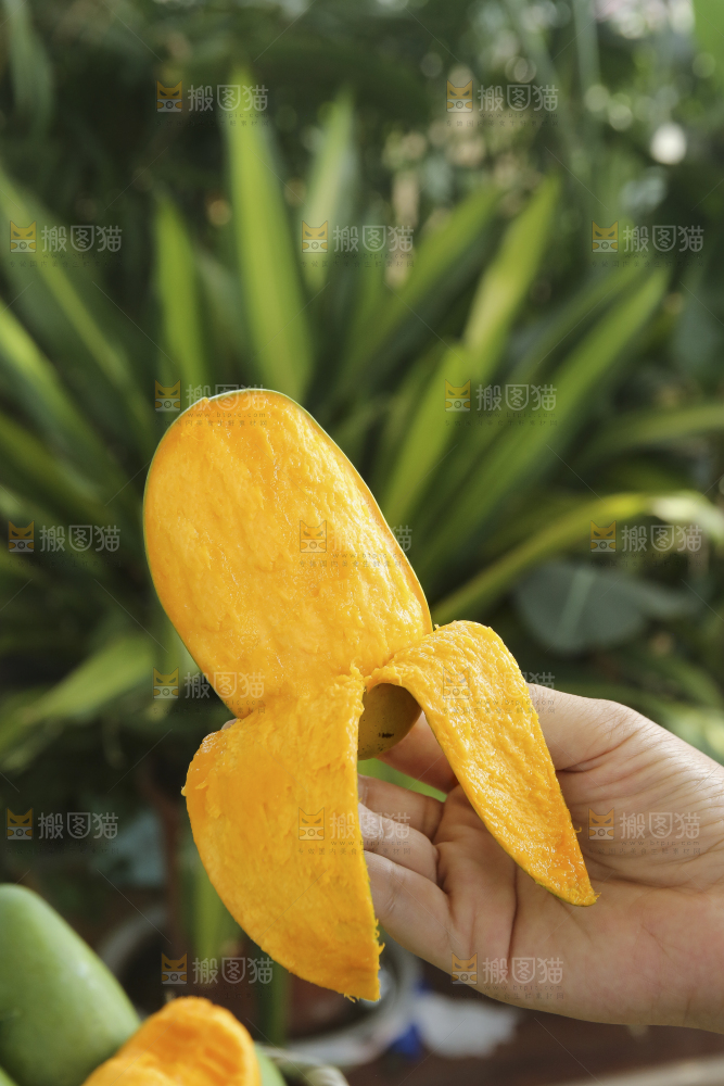 手里拿着椰香芒
