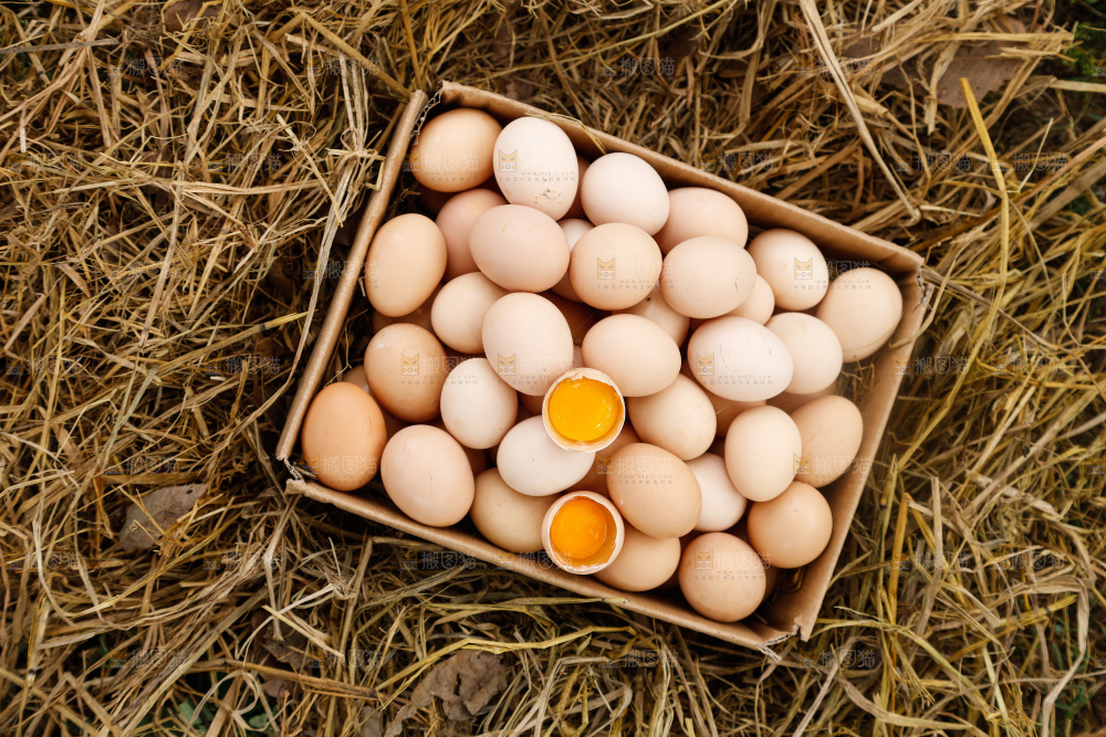 地上放着新鲜土鸡蛋