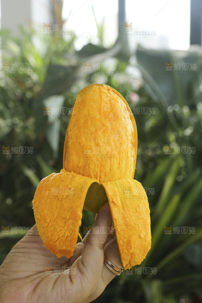 手里拿着椰香芒