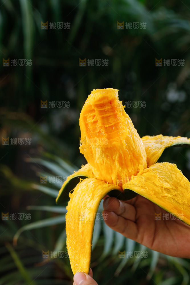 手里拿着椰香芒