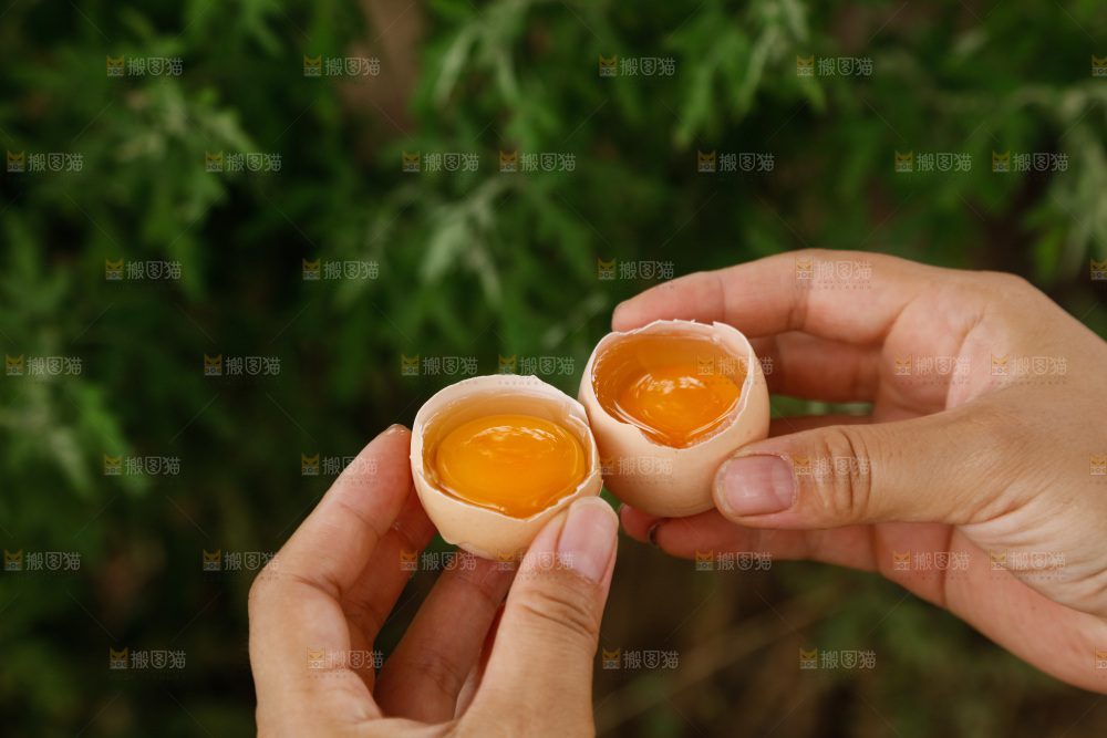 地上放着新鲜土鸡蛋
