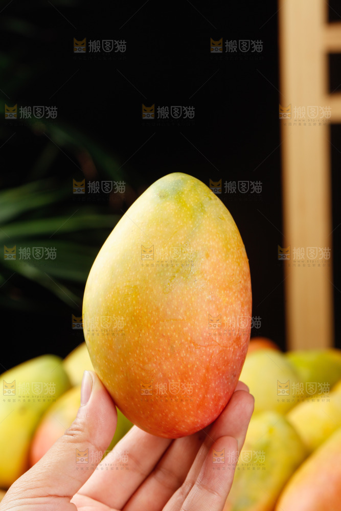 深底上的贵妃芒