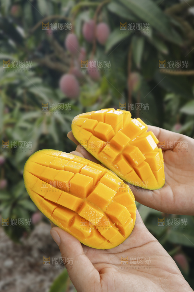 手里拿着椰香芒