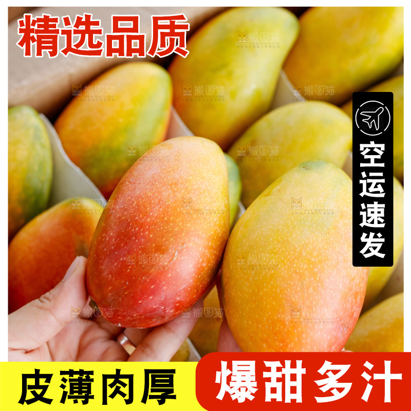 手里拿着贵妃芒