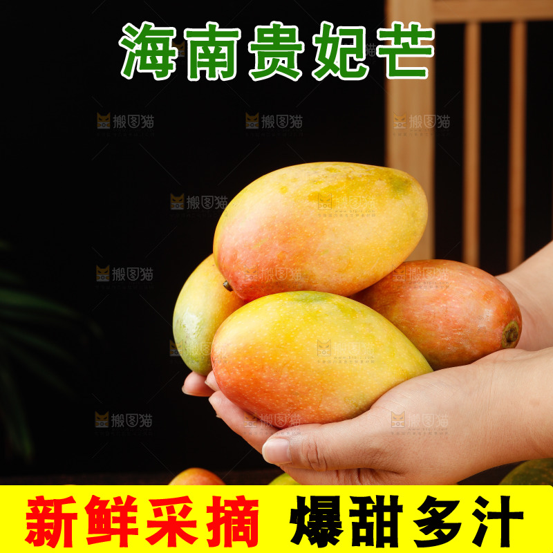 深底上的贵妃芒