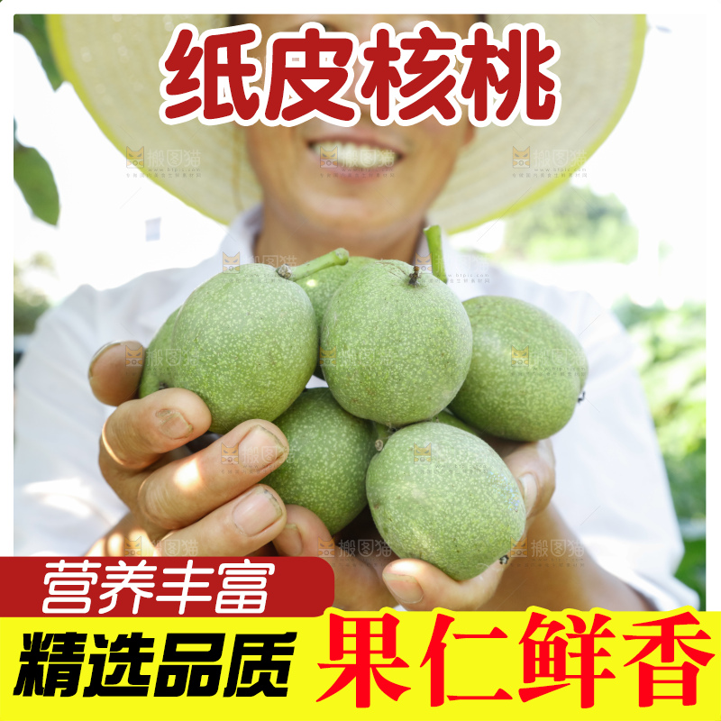 手里拿着青核桃