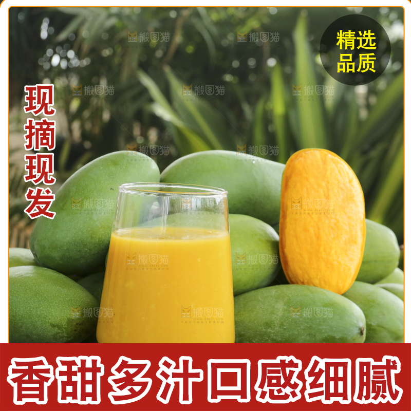 深底上的椰香芒