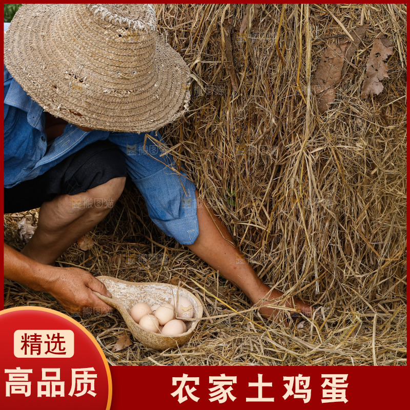 地上放着新鲜土鸡蛋