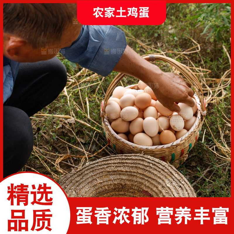 手里拿着土鸡蛋