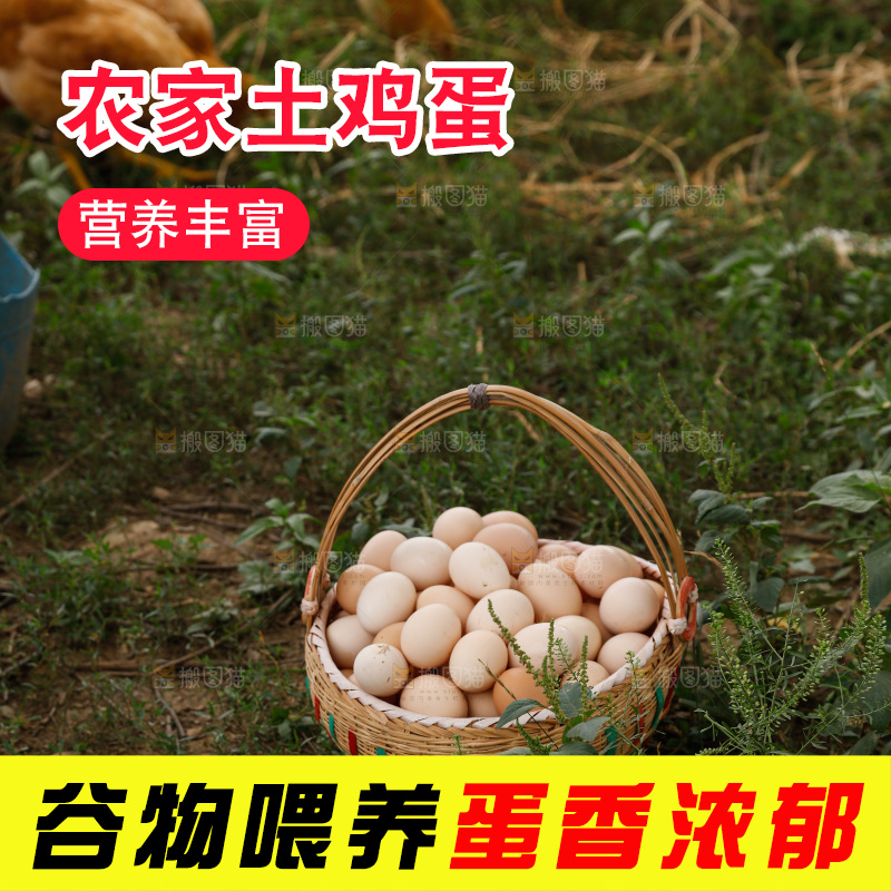 地上放着新鲜土鸡蛋