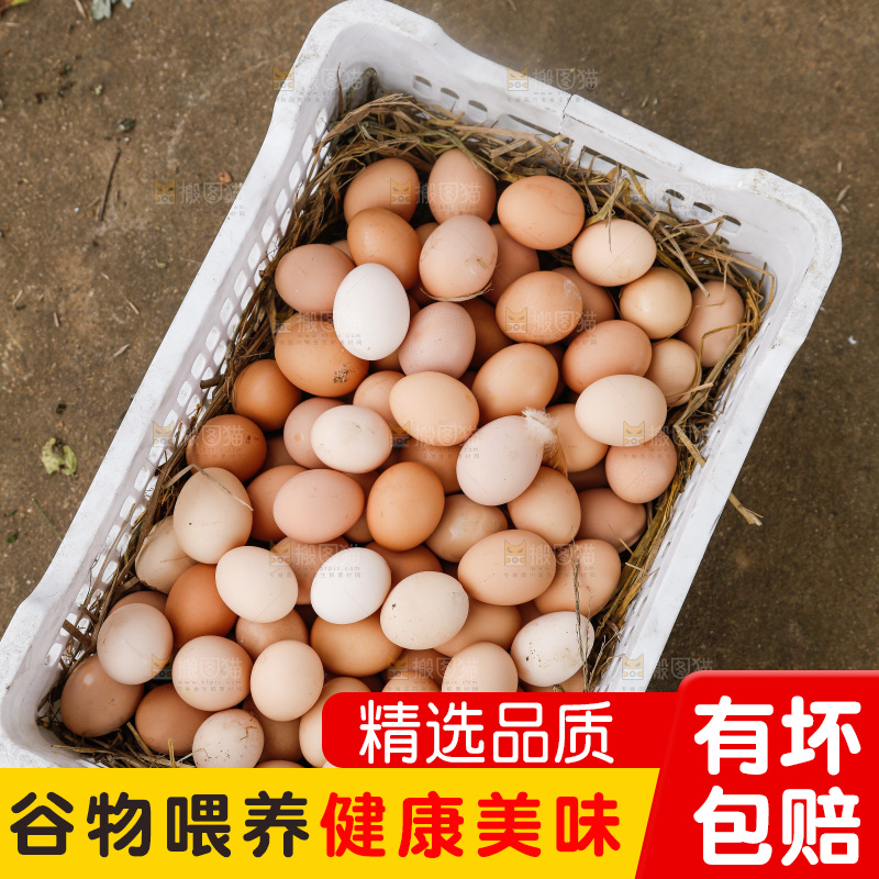 地上放着新鲜土鸡蛋