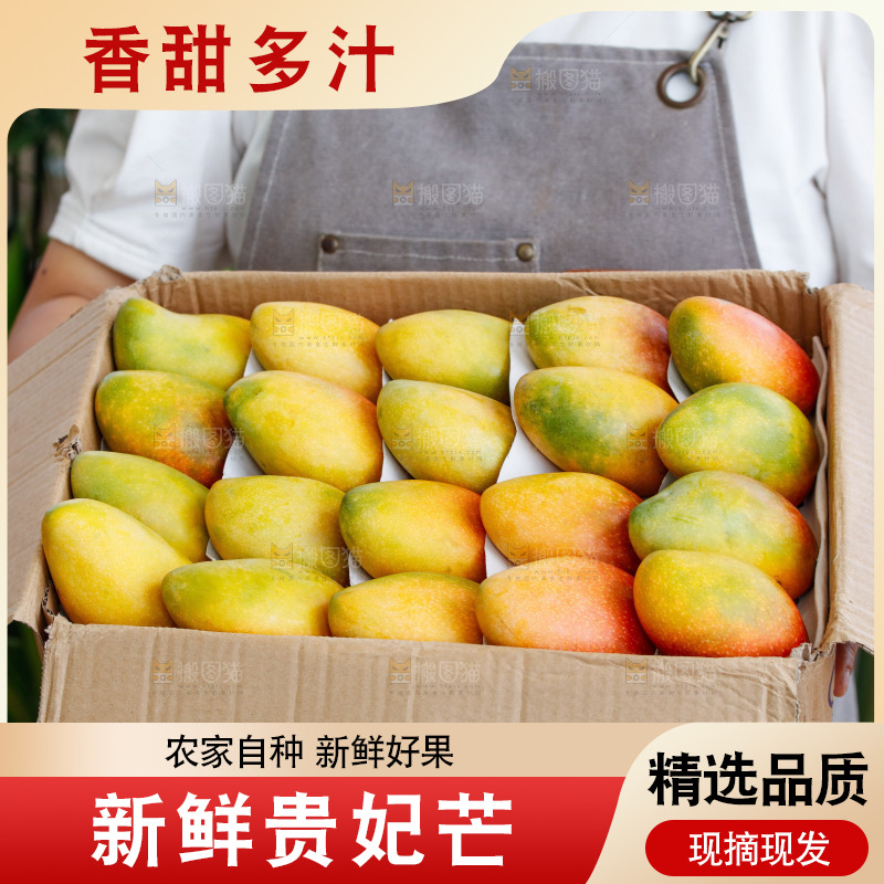 手里拿着贵妃芒
