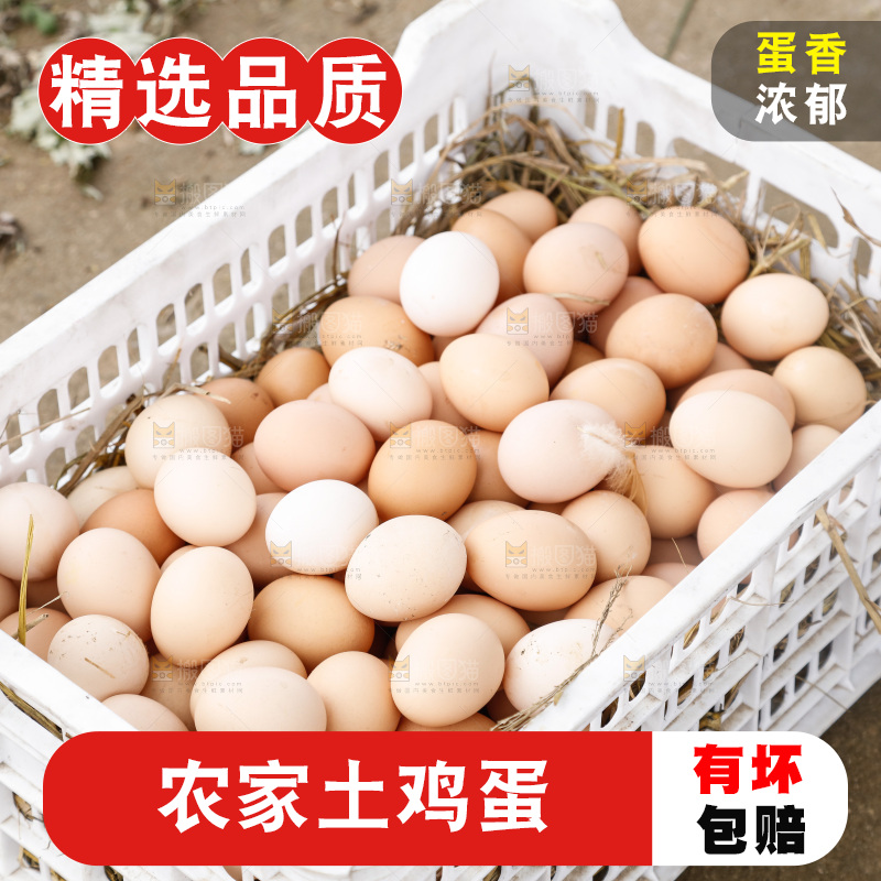 地上放着新鲜土鸡蛋